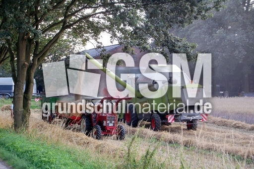 Mähdrescher_4.JPG